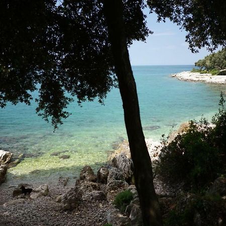 ורסאר Guesthouse Galeb מראה חיצוני תמונה