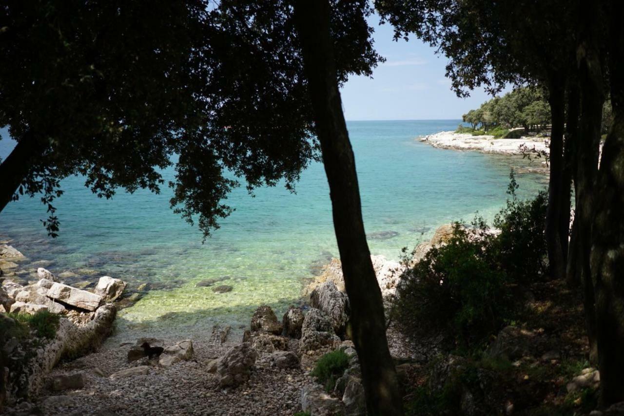 ורסאר Guesthouse Galeb מראה חיצוני תמונה